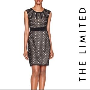 The Limited Black and Tan Eyelet Dress NWT Size 2